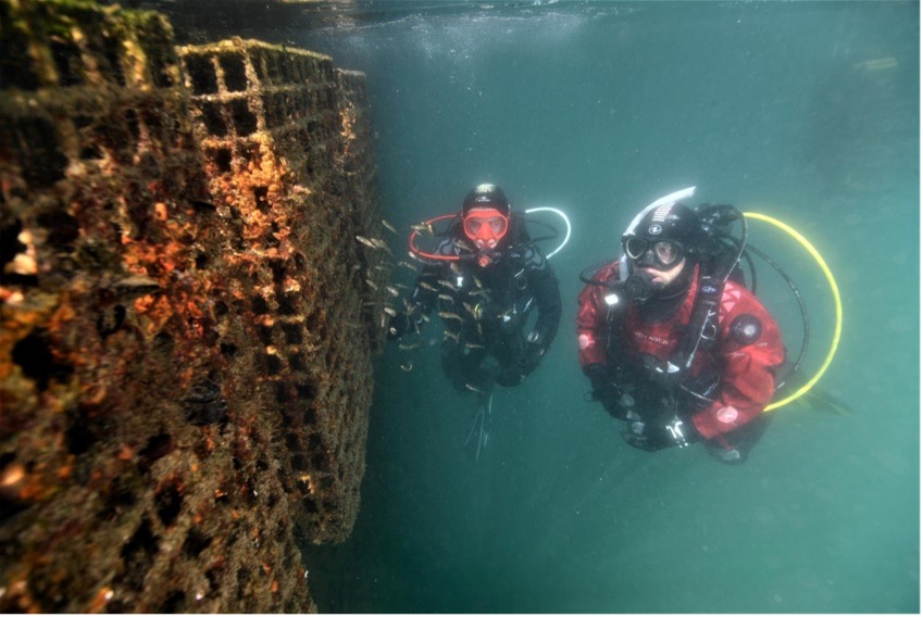 AD Ports Group and CMA CGM join forces with Ecocean to Preserve Marine Biodiversity at Khalifa Port