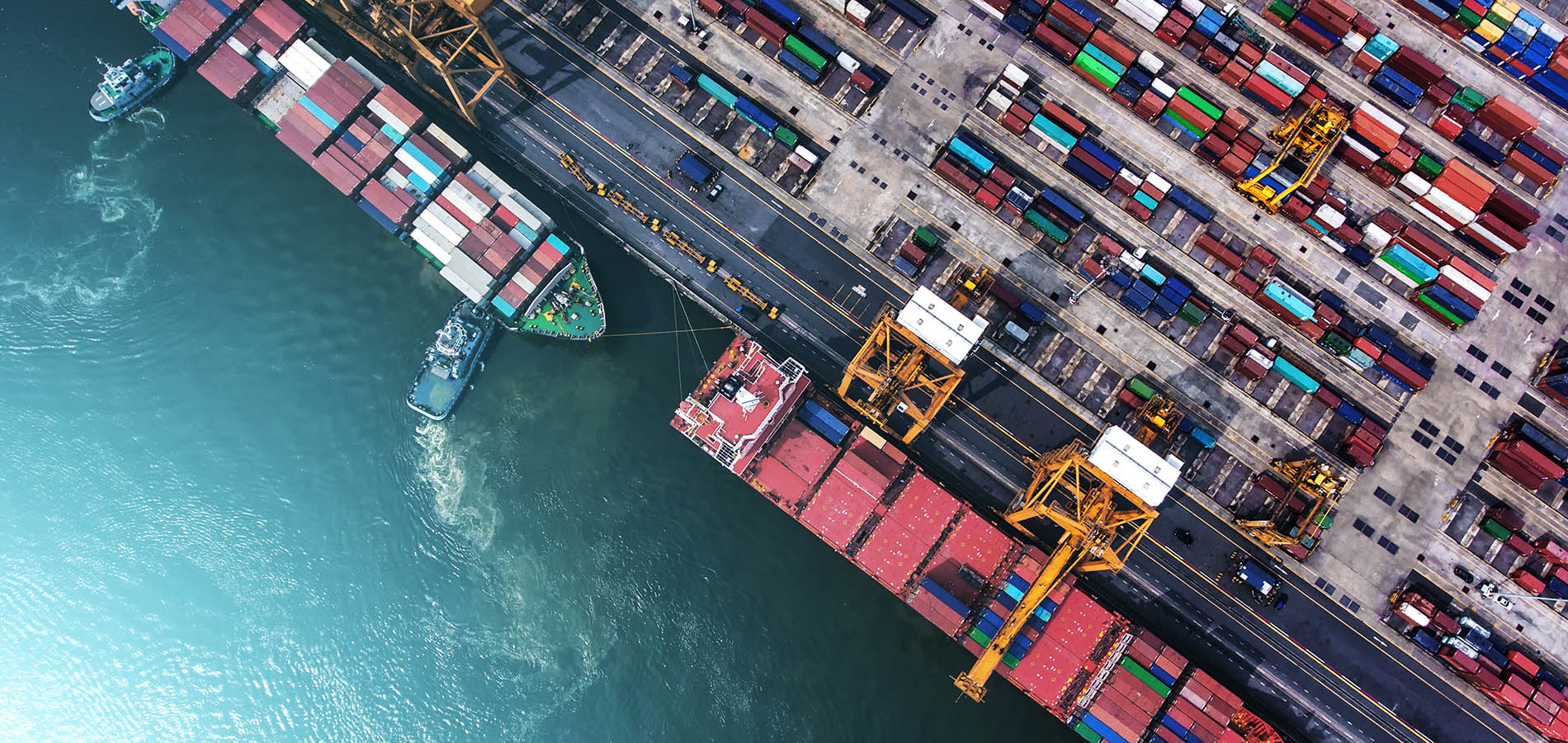 Tripura to become Multinational Trade & Logistic hub: CM