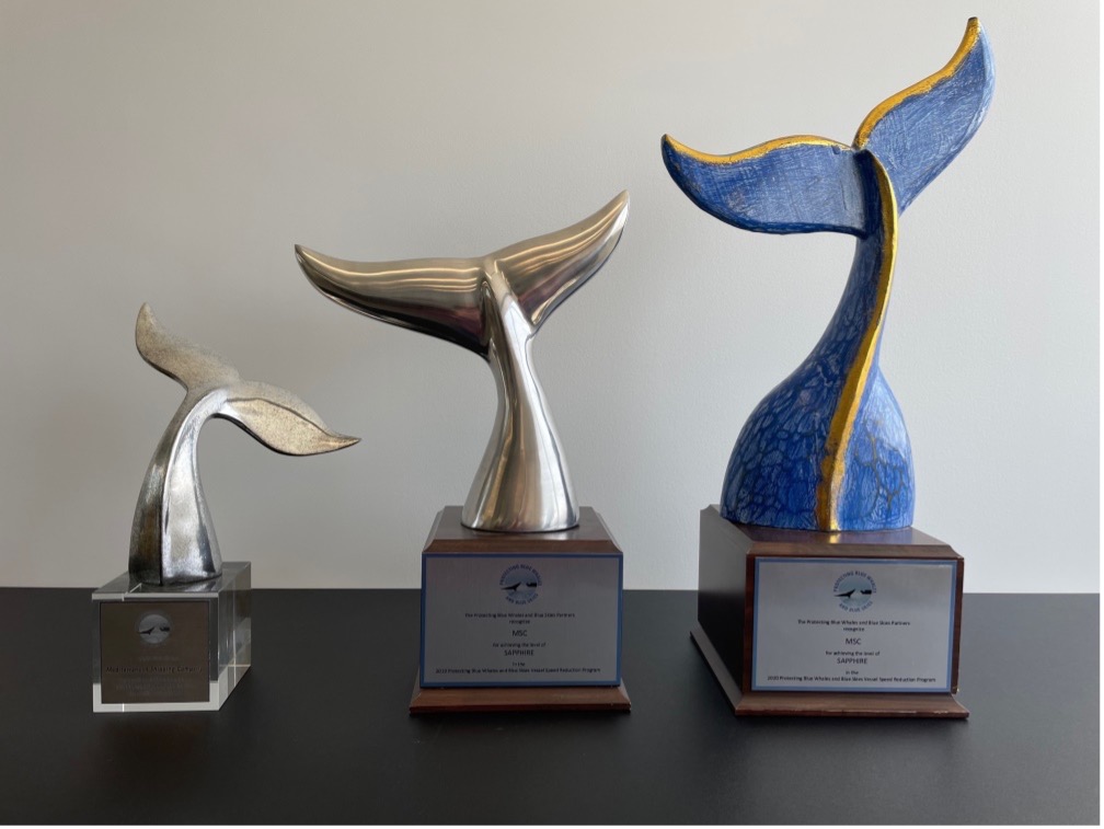 MSC awarded for Whale Protection Efforts