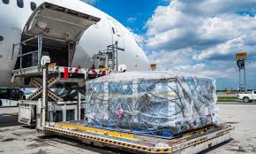 Transshipment at Airports not as efficient as they can be : Dr. Surendra Ahirwar, Joint Secretary (Logistics Division), DPIIT