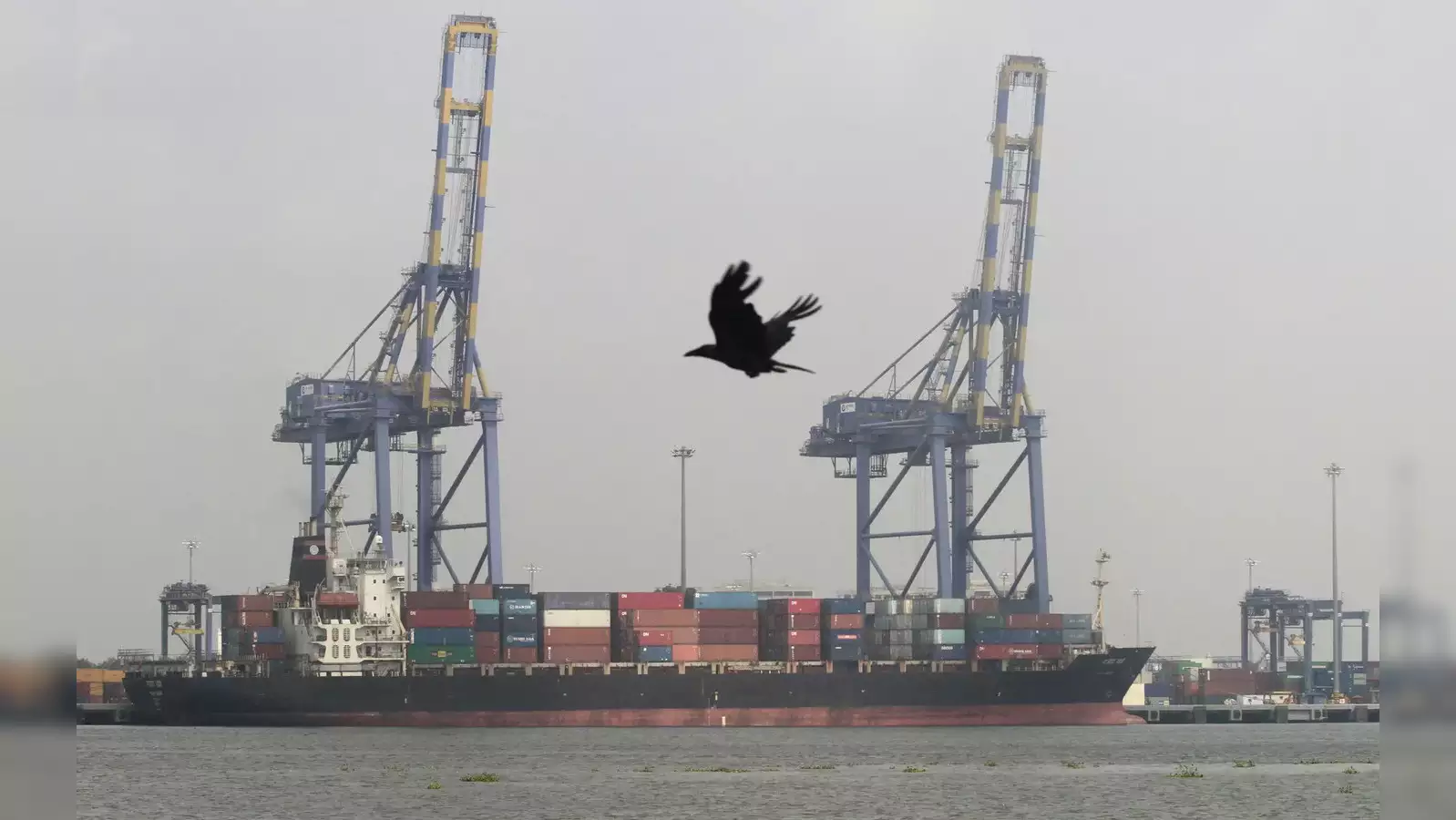 Private Terminal Operators may soon get to fix tariffs