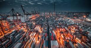 Container sector spearheads a Bullish year for Global Shipping