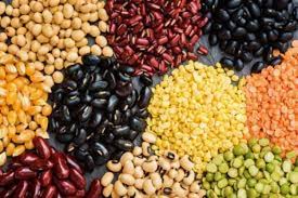 Gujarat pulses exports double to 2,47,789 tonnes from April to January