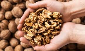 DGFT extends export obligation for imported walnuts