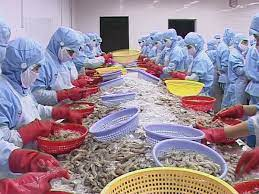 Seafood exports in India surge despite global uncertainties